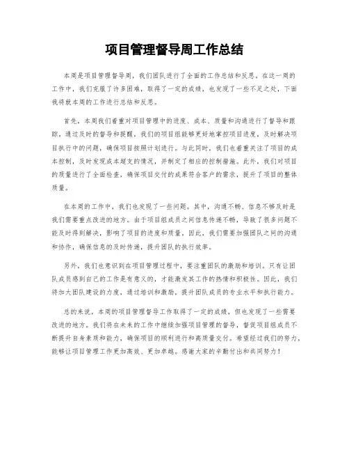 项目管理督导周工作总结