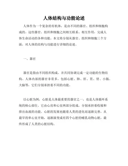人体结构与功能论述