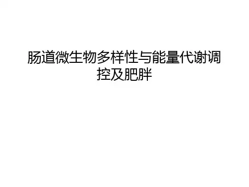肠道微生物多样性与能量代谢调控及肥胖培训课件