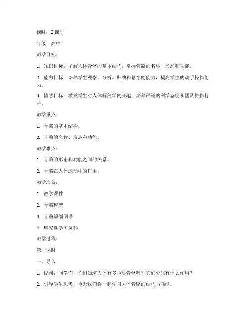 人体解剖骨骼学教案模板范文