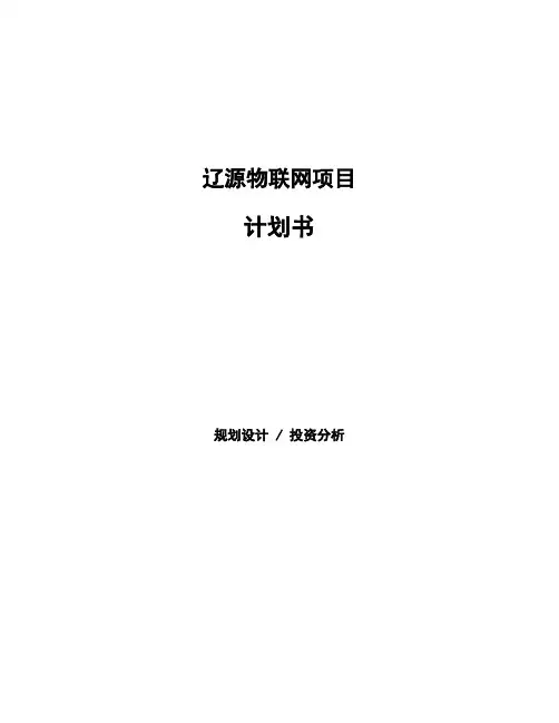 辽源物联网项目计划书
