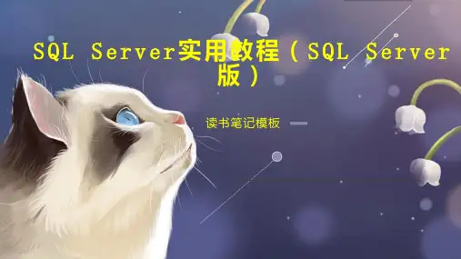 SQL Server实用教程(SQL Server 版)