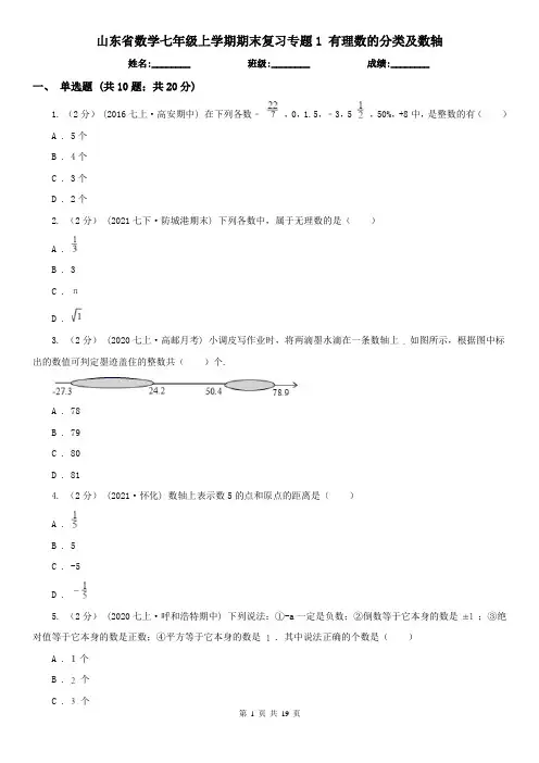 山东省数学七年级上学期期末复习专题1 有理数的分类及数轴