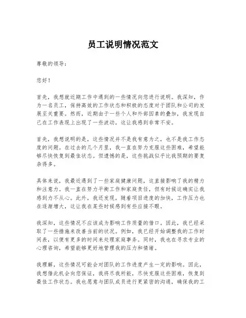 员工说明情况范文