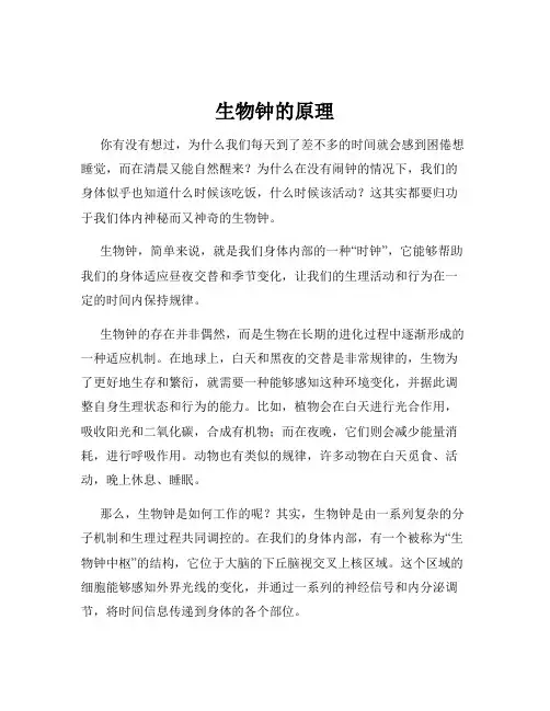 生物钟的原理