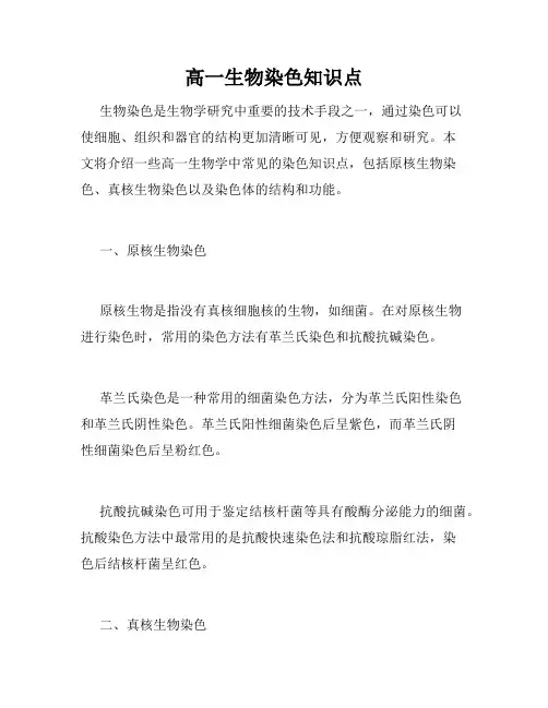 高一生物染色知识点