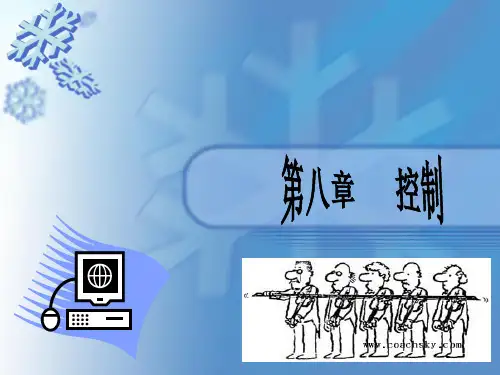 管理学 控制  张秀芳8