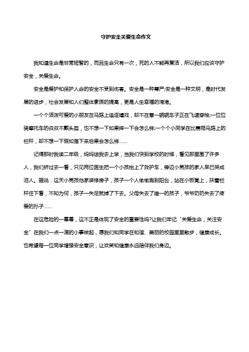 守护安全关爱生命作文