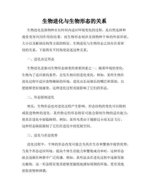 生物进化与生物形态的关系