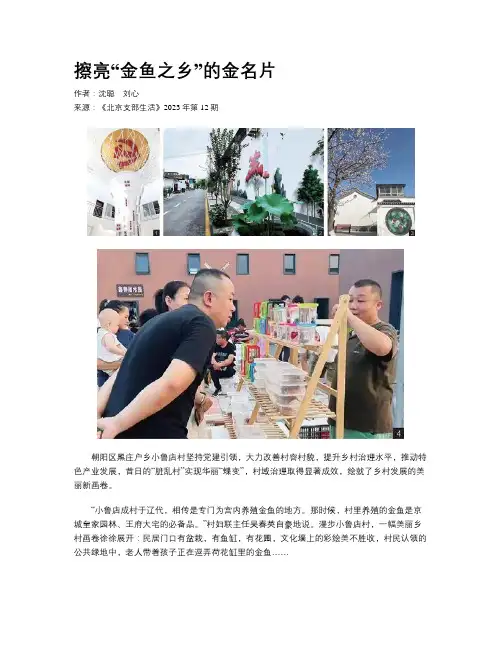 擦亮“金鱼之乡”的金名片