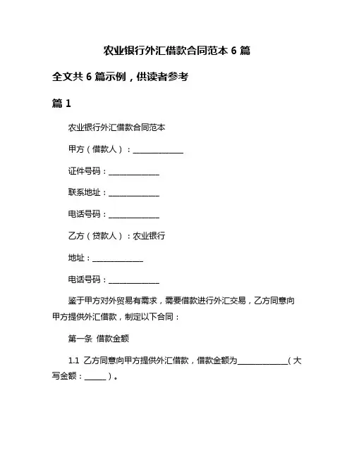 农业银行外汇借款合同范本6篇