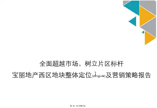 某楼盘整体定位及营销策略报告(ppt版)