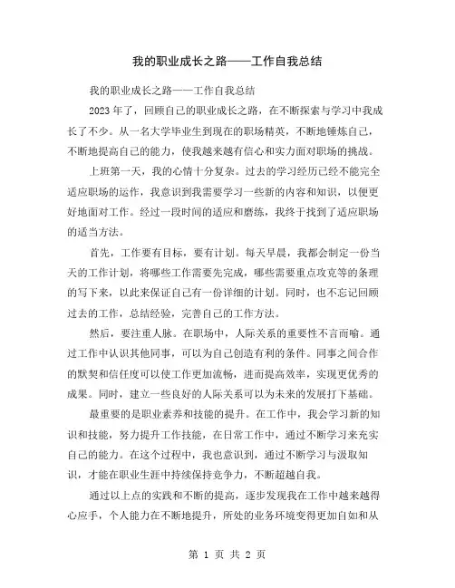 我的职业成长之路——工作自我总结