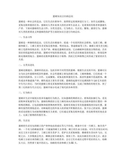 蜜蜂知识点归纳总结