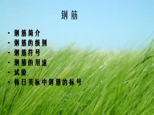 《钢筋》PPT幻灯片PPT