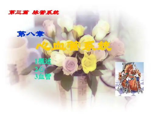 动物解剖学-心血管系统
