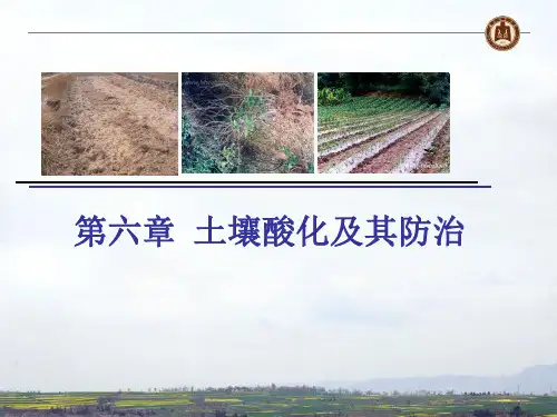 土壤酸化及其防治PPT精选文档