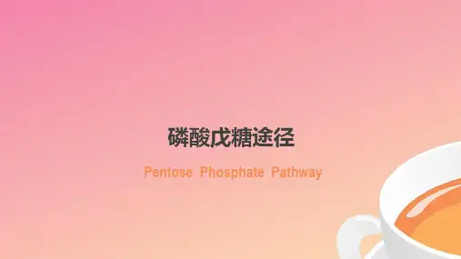 磷酸戊糖途径