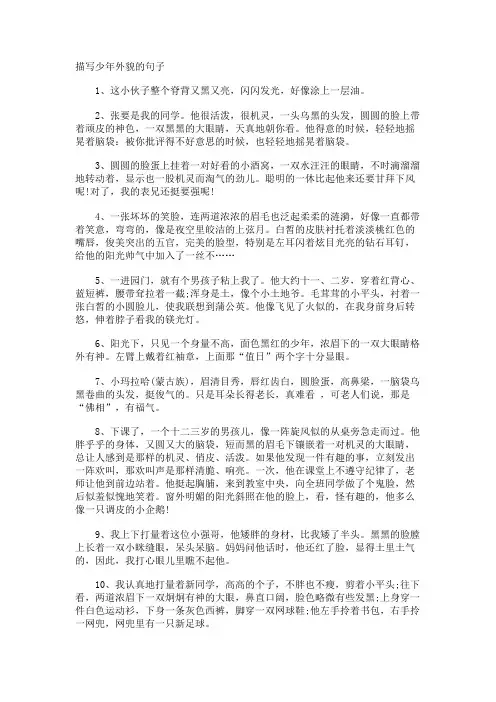 描写少年外貌的句子