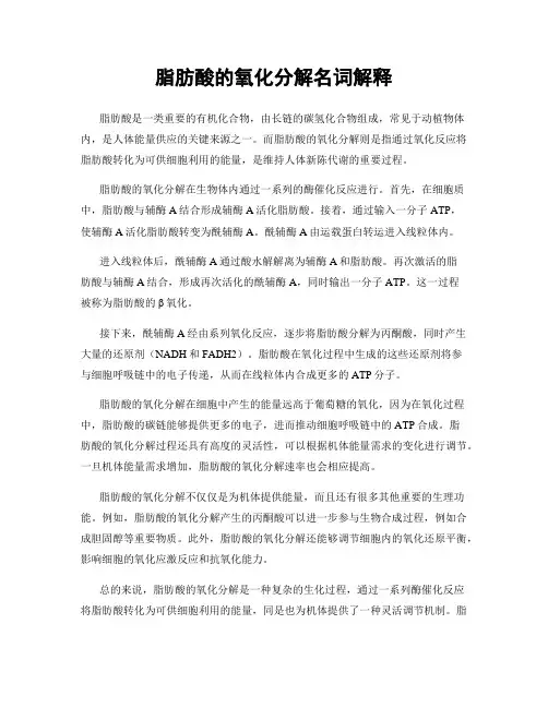 脂肪酸的氧化分解名词解释
