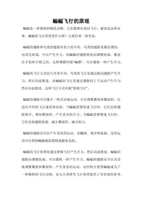蝙蝠飞行的原理