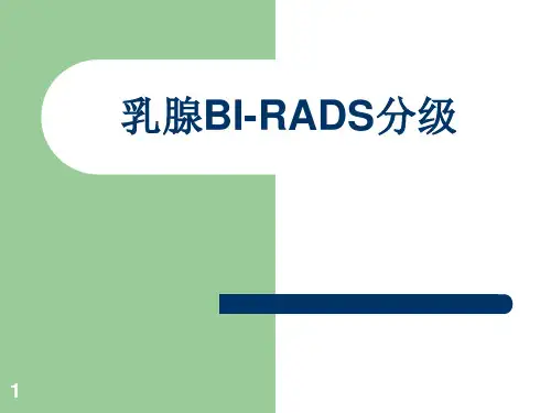 乳腺BI-RADS分级幻灯片课件