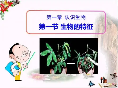 《生物的特征》认识生物 精品PPT课件3