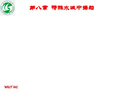 船舶操纵 特殊水域中操船