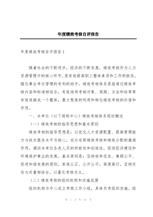 年度绩效考核自评报告