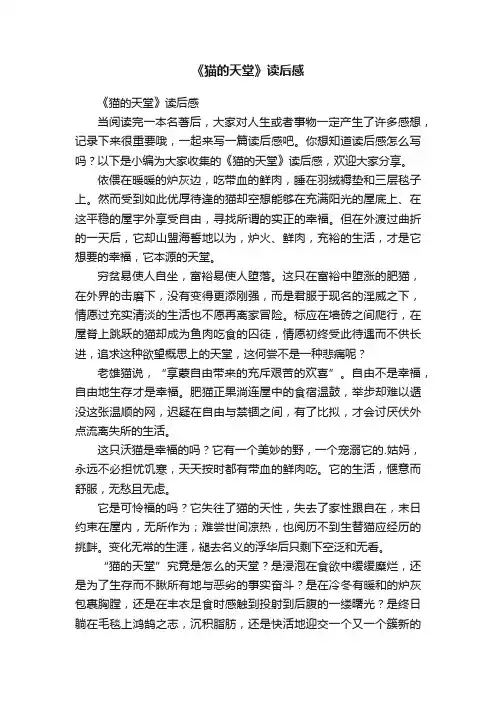 《猫的天堂》读后感