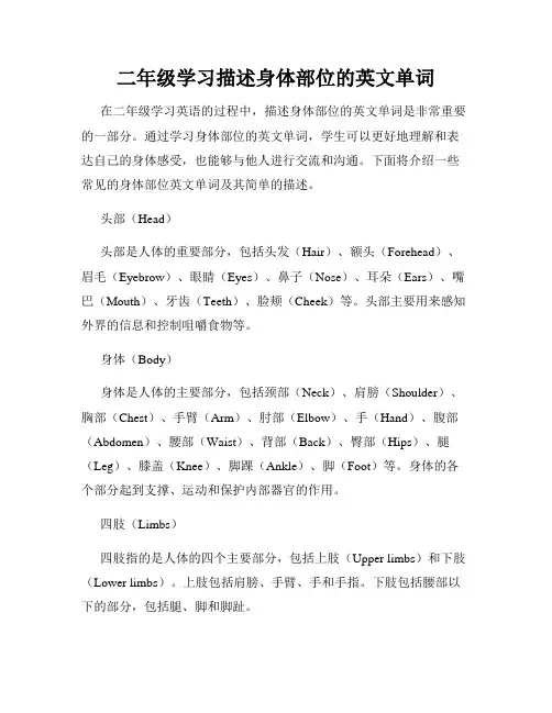 二年级学习描述身体部位的英文单词