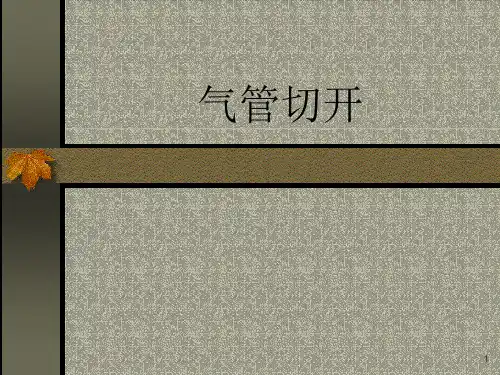 肺部听诊PPT课件