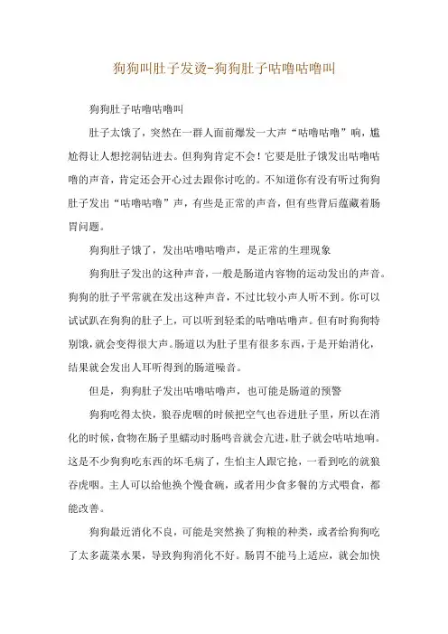 狗狗叫肚子发烫-狗狗肚子咕噜咕噜叫