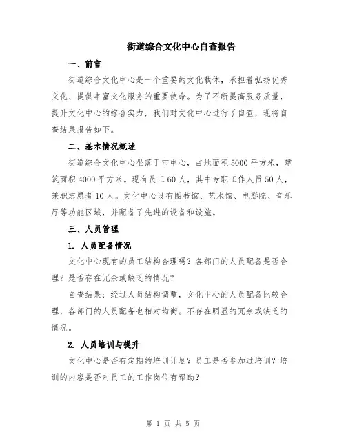 街道综合文化中心自查报告