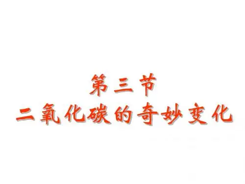 九年级化学奇妙的二氧化碳1(新编201908)