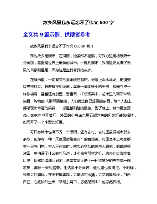 故乡风景我永远忘不了作文600字