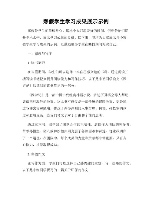 寒假学生学习成果展示示例