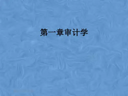 第一章审计学