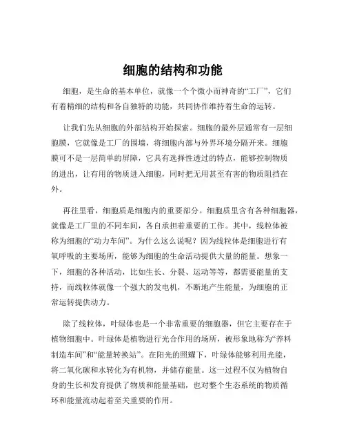 细胞的结构和功能