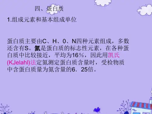 高中生物 蛋白质课件