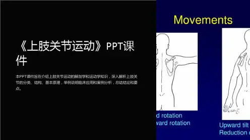 《上肢关节运动》课件