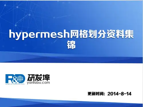 hypermesh网格划分资料集锦