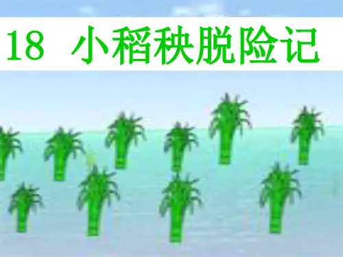 苏教版三年级语文上册《小稻秧脱险记》课件