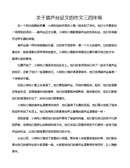 关于葫芦丝征文的作文三四年级