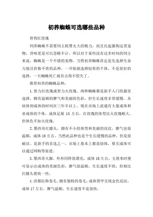 初养蜘蛛可选哪些品种
