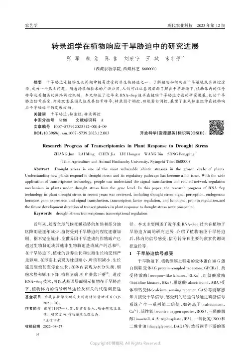 转录组学在植物响应干旱胁迫中的研究进展