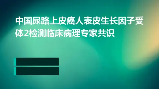 中国尿路上皮癌人表皮生长因子受体2检测临床病理专家共识
