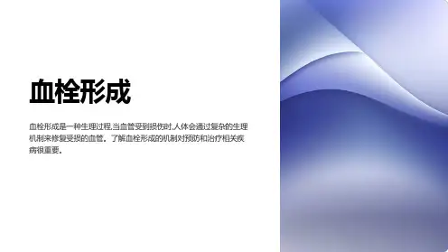 关于血栓形成PPT