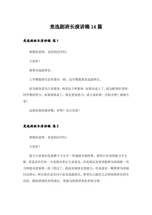 竞选副班长演讲稿14篇