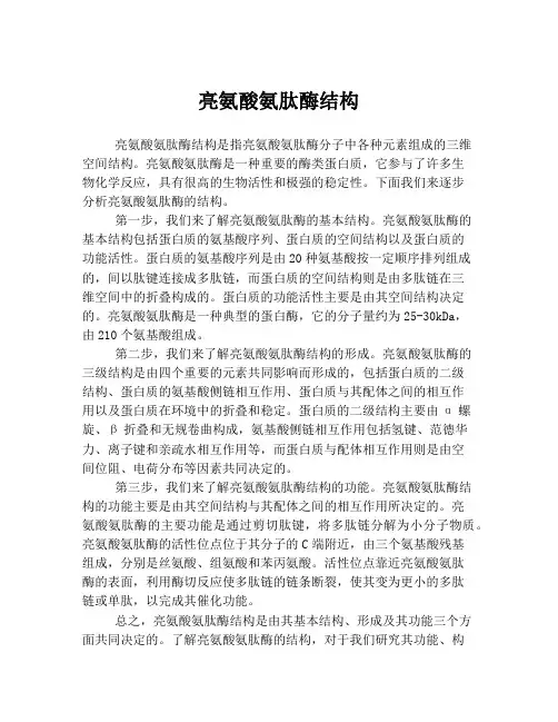 亮氨酸氨肽酶结构